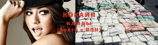 спайс Алзамай