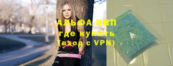 спайс Алзамай