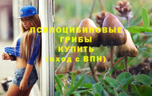 спайс Алзамай