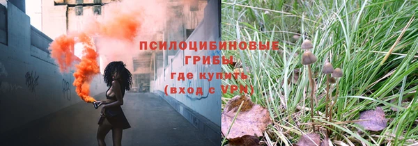 тгк Алексин