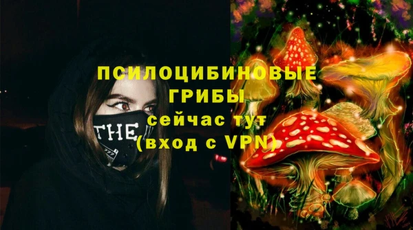 спайс Алзамай