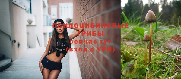спайс Алзамай