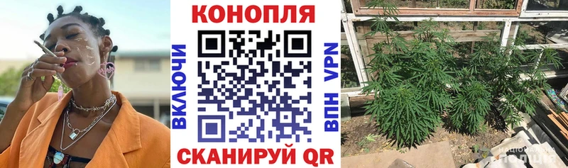 Канабис марихуана  купить наркотик  Бирюч 